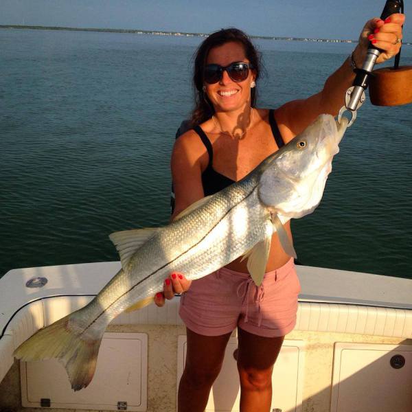 Snook Fishing Species - Clearwater, Palm Harbor Fishing Charters